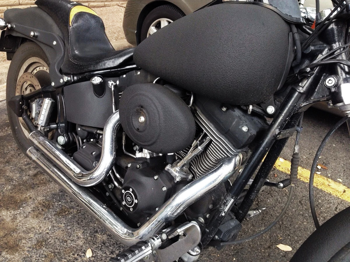 Raptor on motorcycle