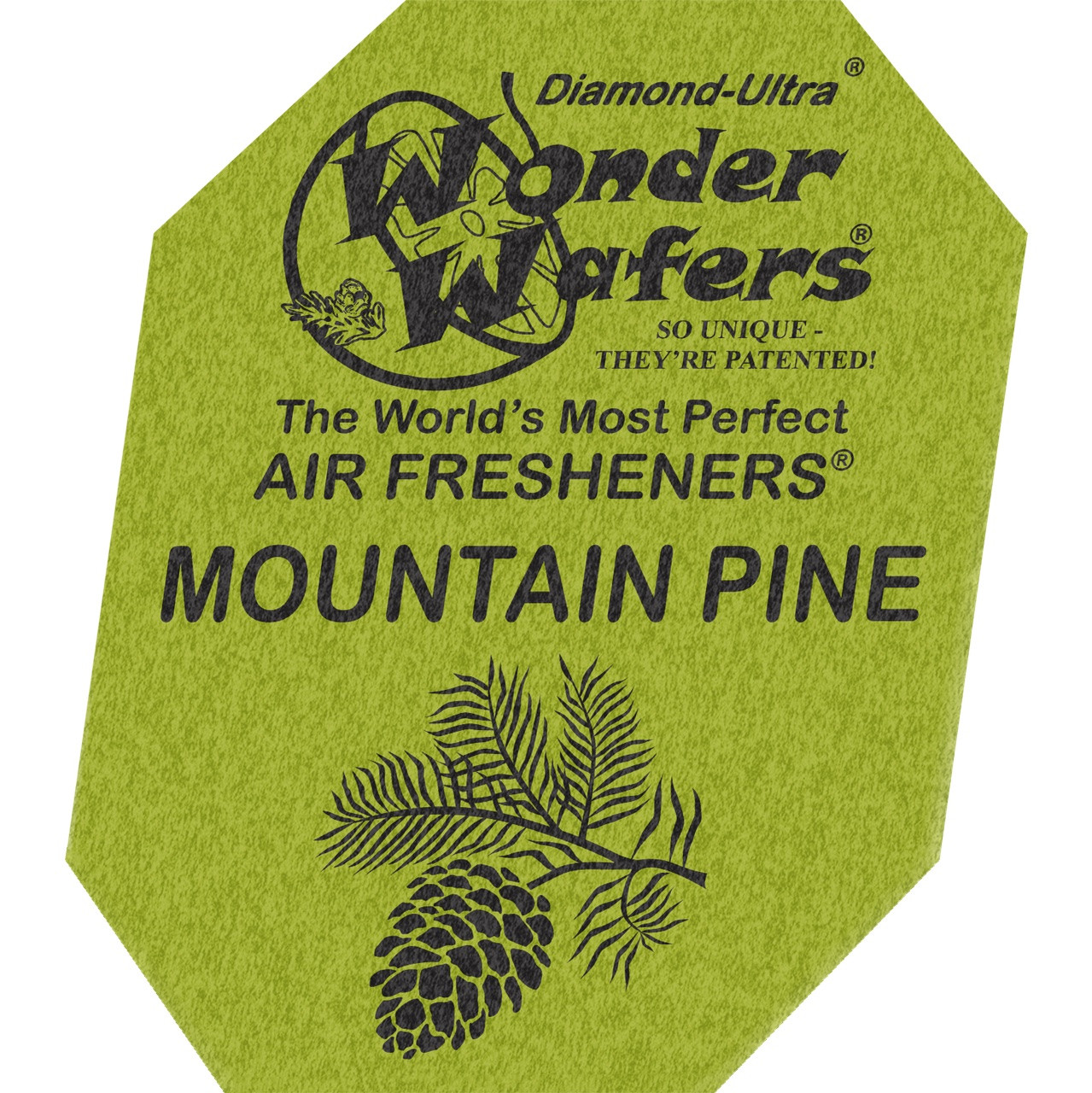 Mountain Pine